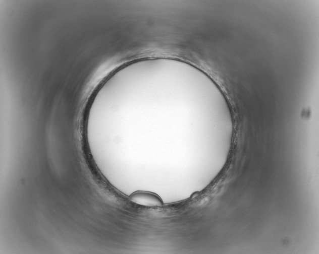 X0000093580103200711121110