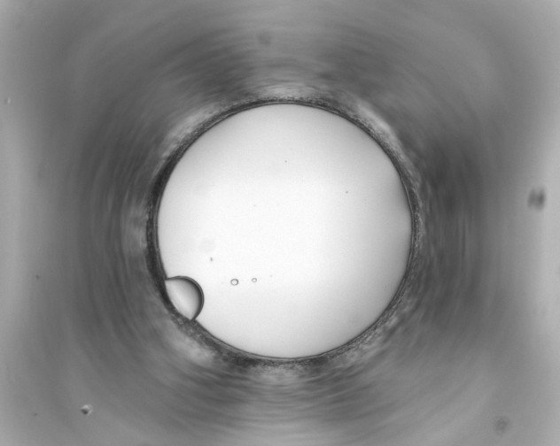 X0000093580106200711121110