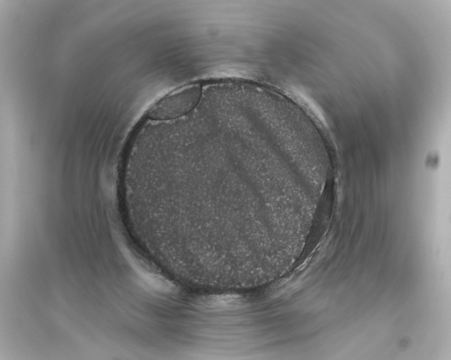 X0000093580108200711121110