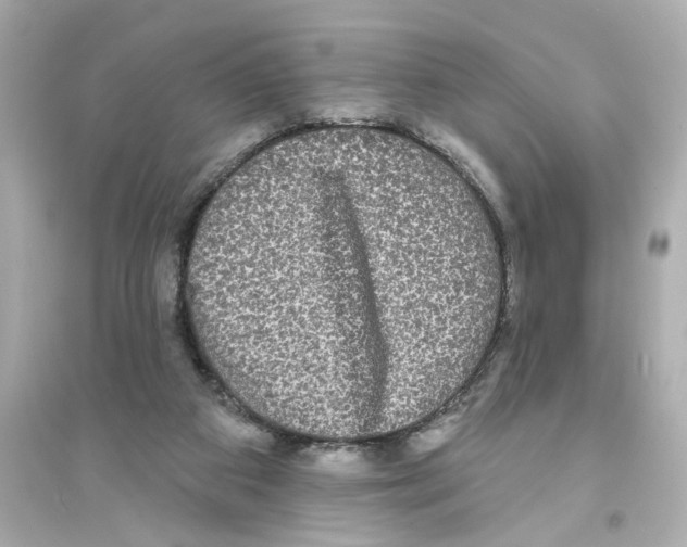 X0000093580113200711121110