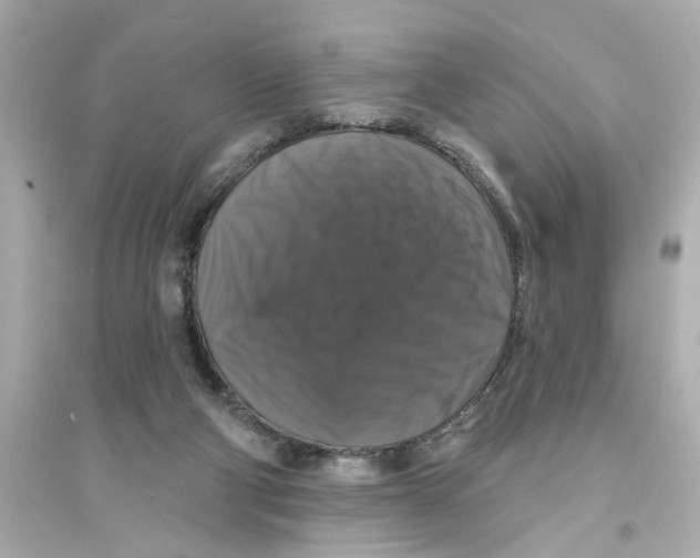 X0000093580114200711121110