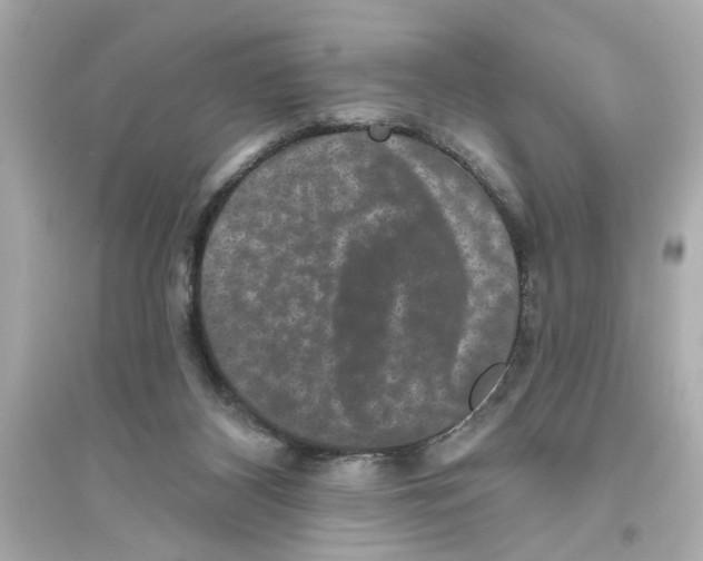 X0000093580116200711121110