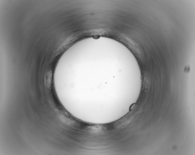 X0000093580118200711121110