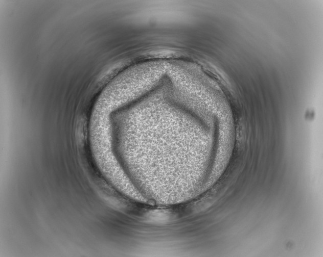 X0000093580119200711121110