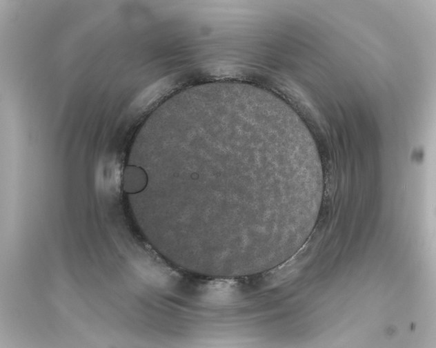 X0000093580124200711121110