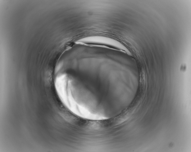 X0000093580127200711121110