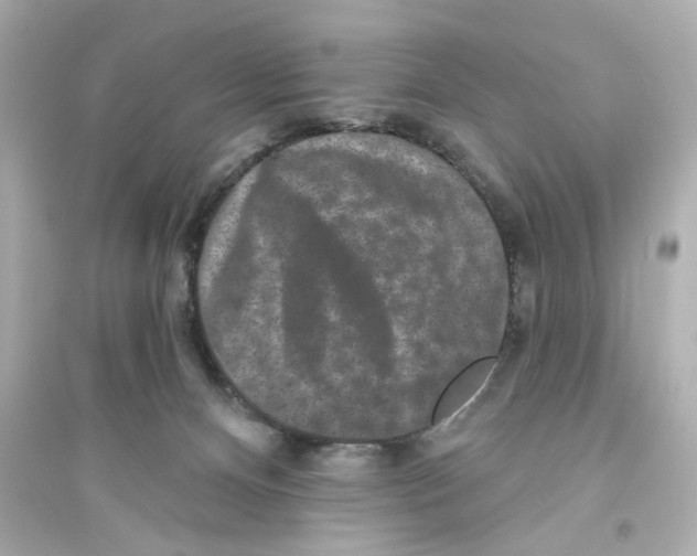 X0000093580128200711121110