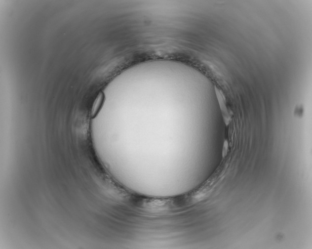 X0000093580129200711121110