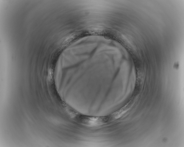 X0000093580130200711121110