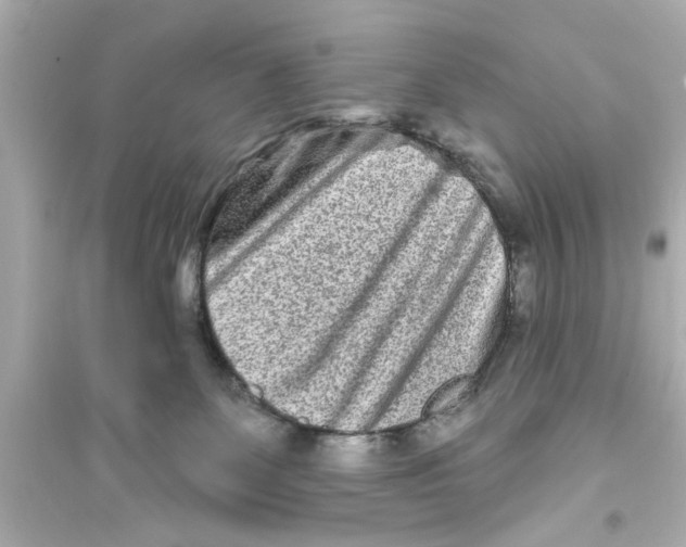 X0000093580131200711121110