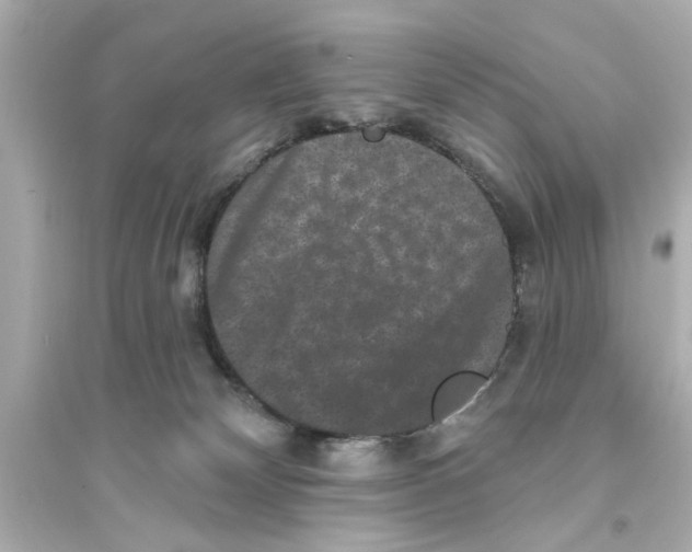 X0000093580132200711121110