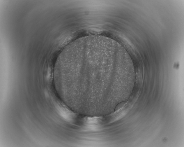 X0000093580134200711121110