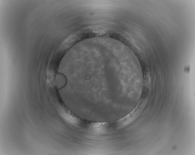 X0000093580136200711121110