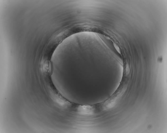 X0000093580137200711121110