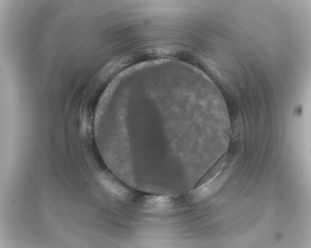 X0000093580140200711121110