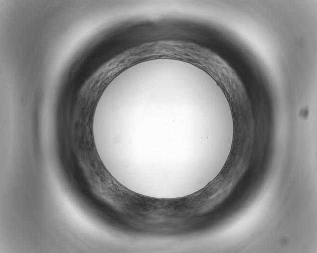 X0000093580142200711121110