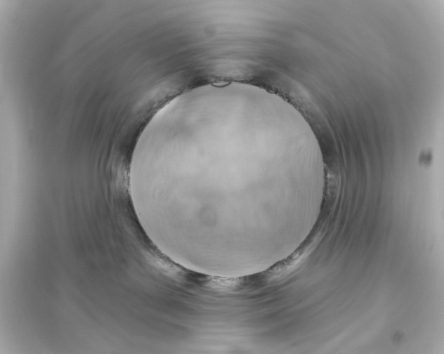 X0000093580143200711121110