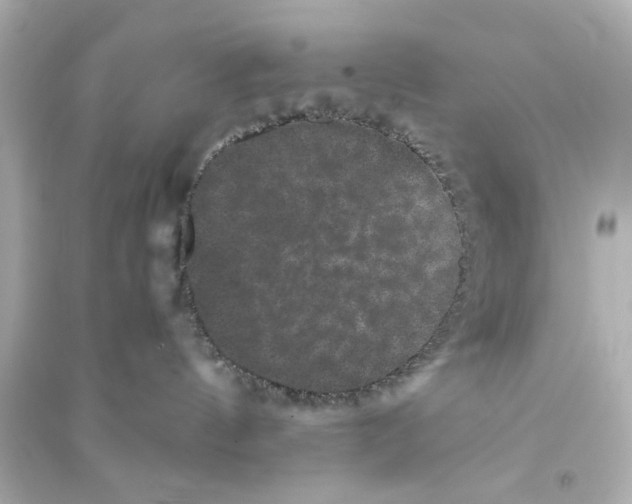 X0000093580144200711121110