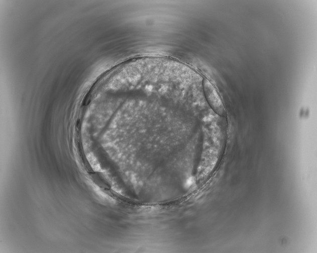 X0000093580145200711121109