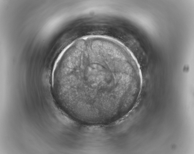 X0000093580146200711121109