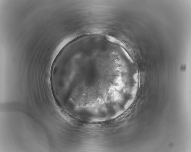 X0000093580147200711121109