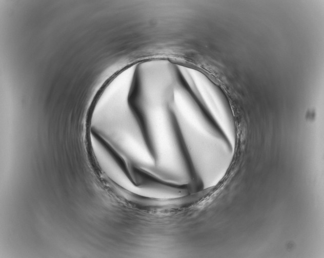 X0000093580148200711121109