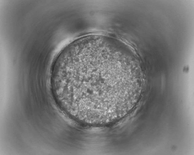 X0000093580149200711121109