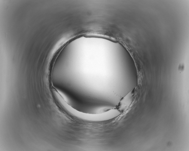 X0000093580150200711121109