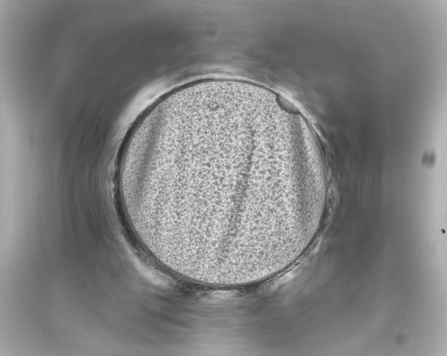 X0000093580151200711121109