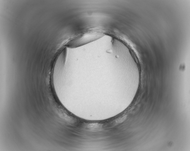 X0000093580153200711121109