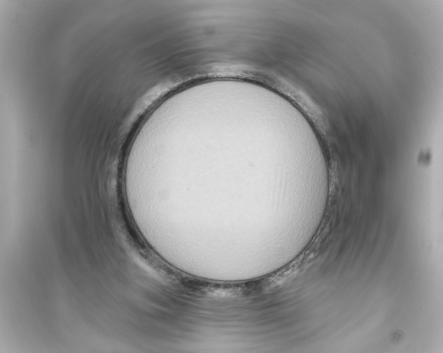 X0000093580155200711121109