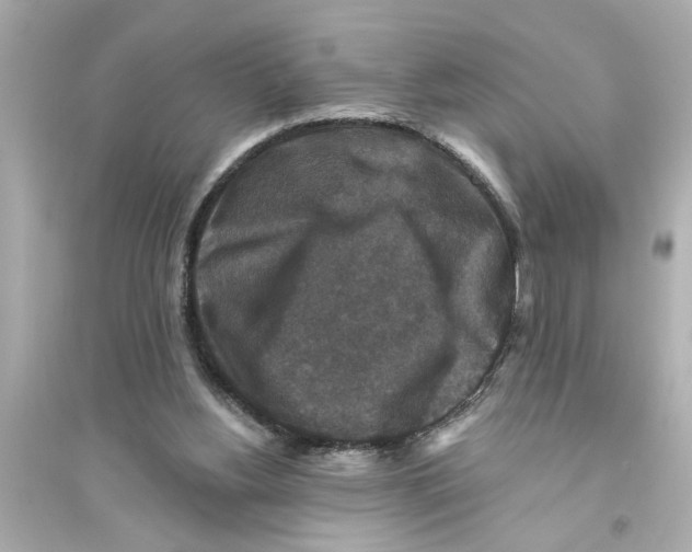 X0000093580156200711121109