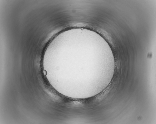 X0000093580159200711121109