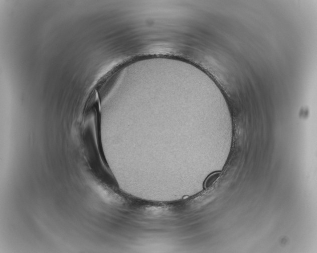 X0000093580160200711121109