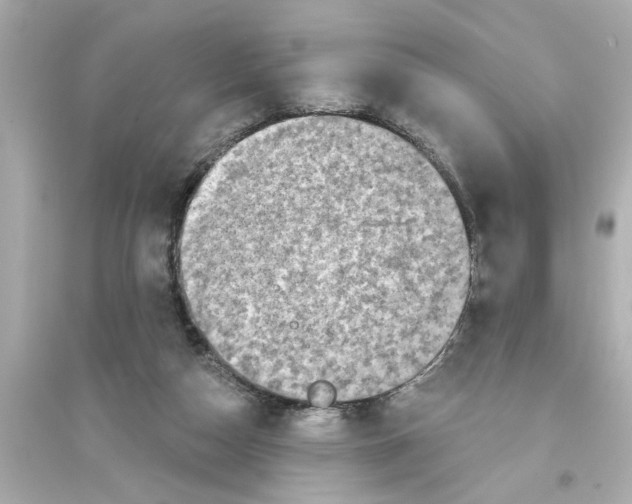 X0000093580162200711121109