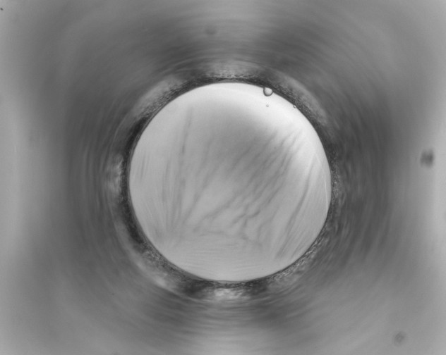 X0000093580163200711121109