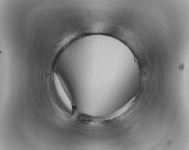 X0000093580164200711121109