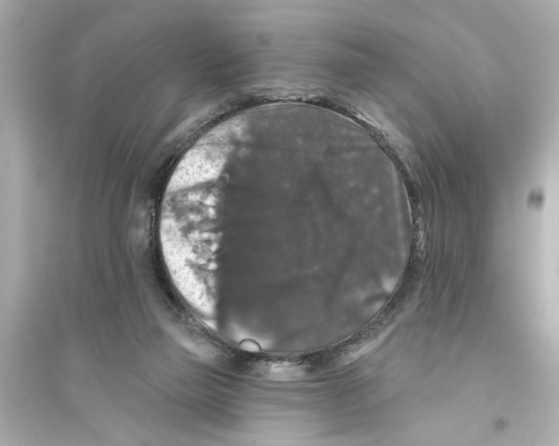 X0000093580165200711121109