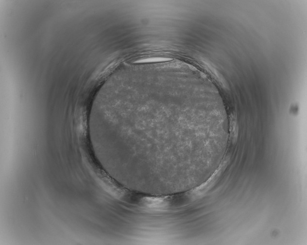 X0000093580170200711121109