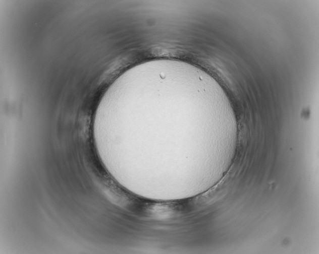 X0000093580171200711121109