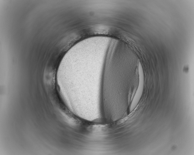 X0000093580172200711121109