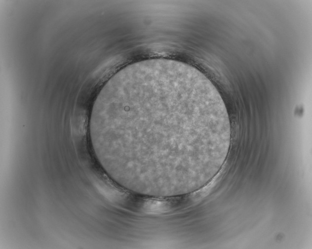 X0000093580174200711121109