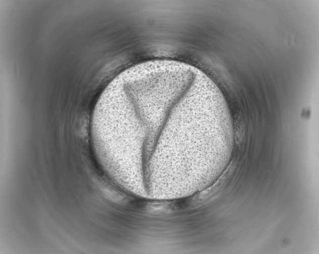 X0000093580175200711121109