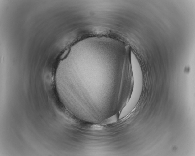 X0000093580176200711121109