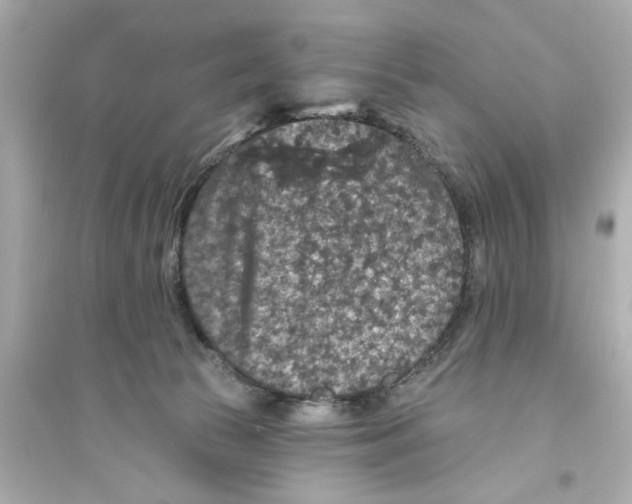 X0000093580177200711121109