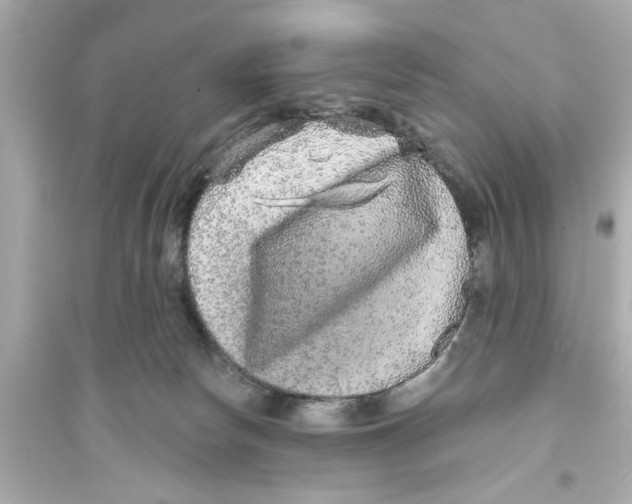 X0000093580178200711121109