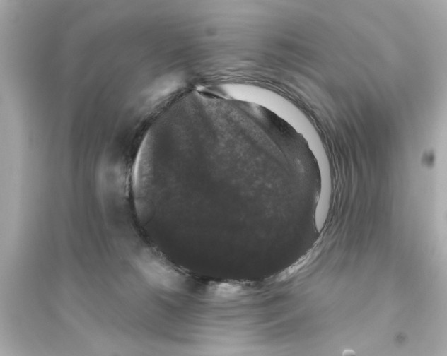 X0000093580180200711121109