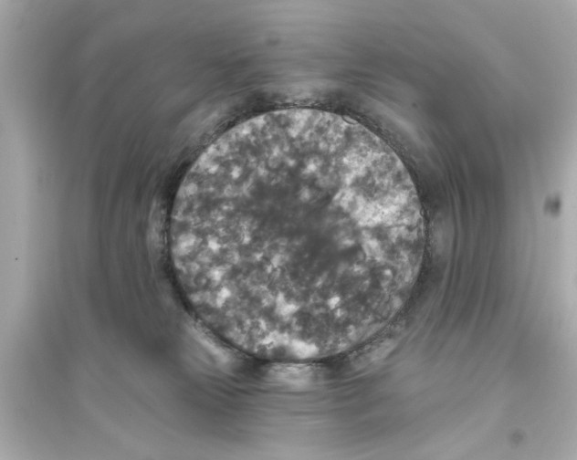 X0000093580181200711121109