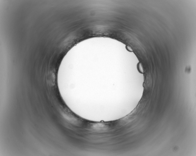 X0000093580183200711121109