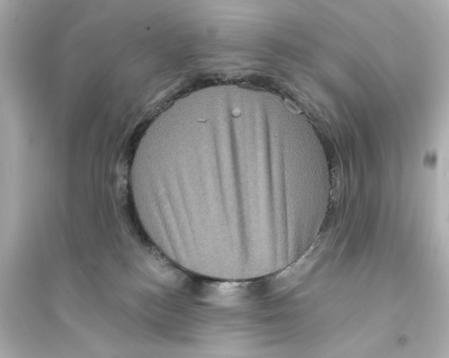 X0000093580184200711121109